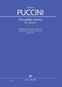 Giacomo Puccini: Che gelida manina, Noten