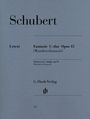 : Schubert, Franz - Fantasie C-dur op. 15 D 760, Noten
