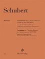 "Schubert", "Horizons", Variationen, Violine, Klavier, Frank Peter Zimmermann, Henle Verlag; orange Hintergrund.
