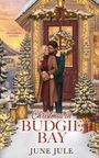 „Christmas in Budgie Bay, June Jule“. Illustration: Ein Paar umarmt sich vor einem weihnachtlich geschmückten Haus.