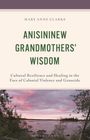 Titel: "Anisininew Grandmothers’ Wisdom". Thema: kulturelle Resilienz. Darunter: Landschaft mit See im Sonnenuntergang.