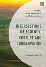 Text: "Edited by Sakti Sekhar Dash and Rajkumar Bera. Intersections of Ecology, Culture and Conservation. Beyond Green." Im Hintergrund eine Hügellandschaft bei Sonnenuntergang.