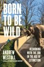 „BORN TO BE WILD“ von Andrew Westoll. Ein Elefant berührt mit seinem Rüssel ein Kind über eine niedrige Mauer.