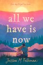 "all we have is now", "Jessica M. Felleman". Ein Paar sitzt vor pastellfarbener Berglandschaft bei Sonnenuntergang.