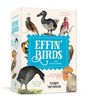 Auf einer Schachtel steht: "EFFIN' BIRDS", "100 POSTCARDS", mit Vogelillustrationen und humorvollen Texten wie "this place sucks now, let's go".