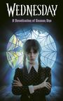 Tehlor Kay Mejia: Wednesday: A Novelization of Season One, Buch