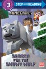 Nada Shawish Dutka: Search for the Snowy Wolf (Minecraft), Buch