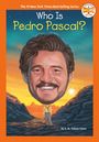 "Who Is Pedro Pascal?" Großes Gesicht über kleinem Körper, vor einer Landschaft bei Sonnenuntergang. Illustration mit orangefarbenem Rand.
