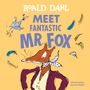 "MEET FANTASTIC MR. FOX" zeigt einen stilisierten Fuchs im Anzug mit bunten Federn im Hintergrund.