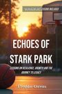 „*WORKBOOK AND LESSONS INCLUDED* ECHOES OF STARK PARK“ steht darüber. Im Hintergrund ein Basketballplatz bei Sonnenuntergang.