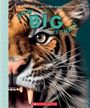 Tom Jackson: How Big Is That? a Life-Size Guide to the Animal Kingdom, Buch