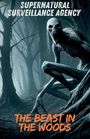 Benjamin Stetser: Supernatural Surveillance Agency, Buch