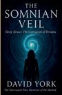 "The Somnian Veil. Sleep Nexus: The Contagion of Dreams. David York. Silhouette vor blauem Wirbel."