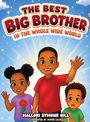 "The Best Big Brother in the Whole Wide World", "Mallori Symone Hill", "Illustrated by Paper Gazelle". Drei fröhliche Kinder.