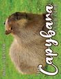 Text: "2027 CALENDAR", "THE Capybara CUTIE CLUB".  
Ein Capybara ruht auf grünem Gras.