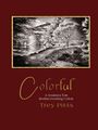 "Colorful: A Journey for Rediscovering Color" von Trey Pitts. Illustration mit Steinbrücke und Bäumen im Hintergrund.