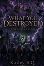 „WHAT YOU DESTROYED – ASHEN CROWN SERIES BOOK TWO“ steht im Vordergrund. Dunkle Szenerie mit Drachen und Krone.