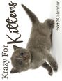 Text: "Krazy For Kittens" und "2027 Calendar". Ein grau getigertes Kätzchen liegt auf der Seite und schaut neugierig.