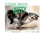 Kimberly Lloyd: Come Back Kitty, Buch