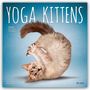 Browntrout Publishers: Yoga Kittens - Kätzchen Yoga 2026 - 16-Monatskalender, KAL