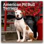 Browntrout Publishers: American Pit Bull Terriers 2026 - 16-Monatskalender, KAL