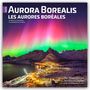 Browntrout Publishers: Aurora Borealis - Polarlicht 2026 - 16-Monatskalender, KAL
