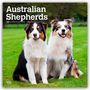 Browntrout Publishers: Australian Shepherds 2026 - 16-Monatskalender, KAL
