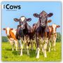 Browntrout Publishers: Cows - Kühe 2026 - 16-Monatskalender, KAL