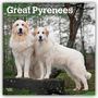 Browntrout Publishers: Great Pyrenees - Pyrenäenberghund 2026 - 16-Monatskalender, KAL