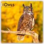 Browntrout Publishers: Owls - Eulen 2026 - 16-Monatskalender, KAL