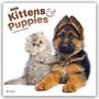 Browntrout Publishers: Kittens & Puppies - Kätzchen & Welpen 2026 - 16-Monatskalender, KAL
