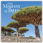 Browntrout Publishers: The Majesty of Trees - Die Erhabenheit der Bäume 2027 - 16-Monatskalender, KAL