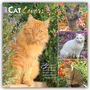 Browntrout Publishers: Cat Lovers - Katzenliebhaber 2027 - 16-Monatskalender, KAL