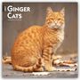 Browntrout Publishers: Ginger Cats - Gingerkatzen - Rote Katzen 2027 - 16-Monatskalender, KAL