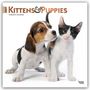 „2027 Kittens & Puppies 16-Month Calendar.“ Ein Welpe und ein Kätzchen stehen eng nebeneinander.