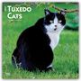 2027 Tuxedo Cats 16-Month Calendar. Eine schwarz-weiße Katze sitzt auf grünem Gras unter einem Ast.
