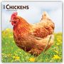 Browntrout Publishers: Chickens - Hühner 2027 - 16-Monatskalender, KAL