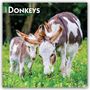 „2027 Donkeys 16-Month Calendar“. Ein Esel mit Fohlen auf einer grünen Wiese, umgeben von bunten Blumen.