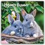 Browntrout Publishers: Honey Bunny - Süße Häschen 2027 - 16-Monatskalender, KAL