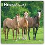 Browntrout Publishers: Horse Lovers - Pferdeliebhaber 2027 - 16-Monatskalender, KAL