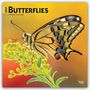Text: "2027 BUTTERFLIES 16-MONTH CALENDAR". Nahaufnahme eines Schmetterlings auf gelben Blüten, mit buntem Hintergrund.