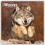Browntrout Publishers: Wolves - Wölfe 2027 - 16-Monatskalender, KAL