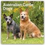 "Australian Cattle Dogs" und "2027 16-Month Calendar" stehen oben. Zwei Hunde sitzen auf Gras, umgeben von Pflanzen.