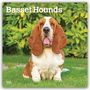 „Basset Hounds“ oben, „2027 16-Month Calendar“ darunter. Ein Basset Hound sitzt auf grünem Gras im Vordergrund.