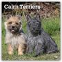 "Cairn Terriers" 2027 Kalender. Zwei Terrier sitzen auf Gras, ein heller und ein dunkler, mit aufmerksamem Blick.