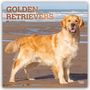 „GOLDEN RETRIEVERS 2027 16-MONTH CALENDAR“ steht in orange. Ein Golden Retriever am Strand lächelt in die Kamera.
