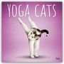 „YOGA CATS“, „2027 16-Month Calendar“. Illustration: Katze in Yoga-Pose vor lila Hintergrund.