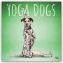 Text: "YOGA DOGS 2027 16-MONTH CALENDAR." Ein Dalmatiner in einer Yoga-Pose vor grünem Hintergrund.