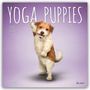 "YOGA PUPPIES" oben, "2027 16-MONTH CALENDAR" links. Ein flauschiger Hund macht eine Yoga-Pose auf lila Hintergrund.