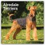 „Airedale Terriers“, „2027 16-Month Calendar“. Ein Airedale-Terrier steht im grünen, sonnigen Garten.